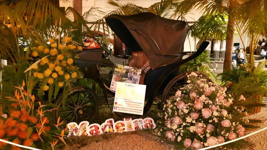 Casa Violeta Villa Funchal  Ngoại thất bức ảnh