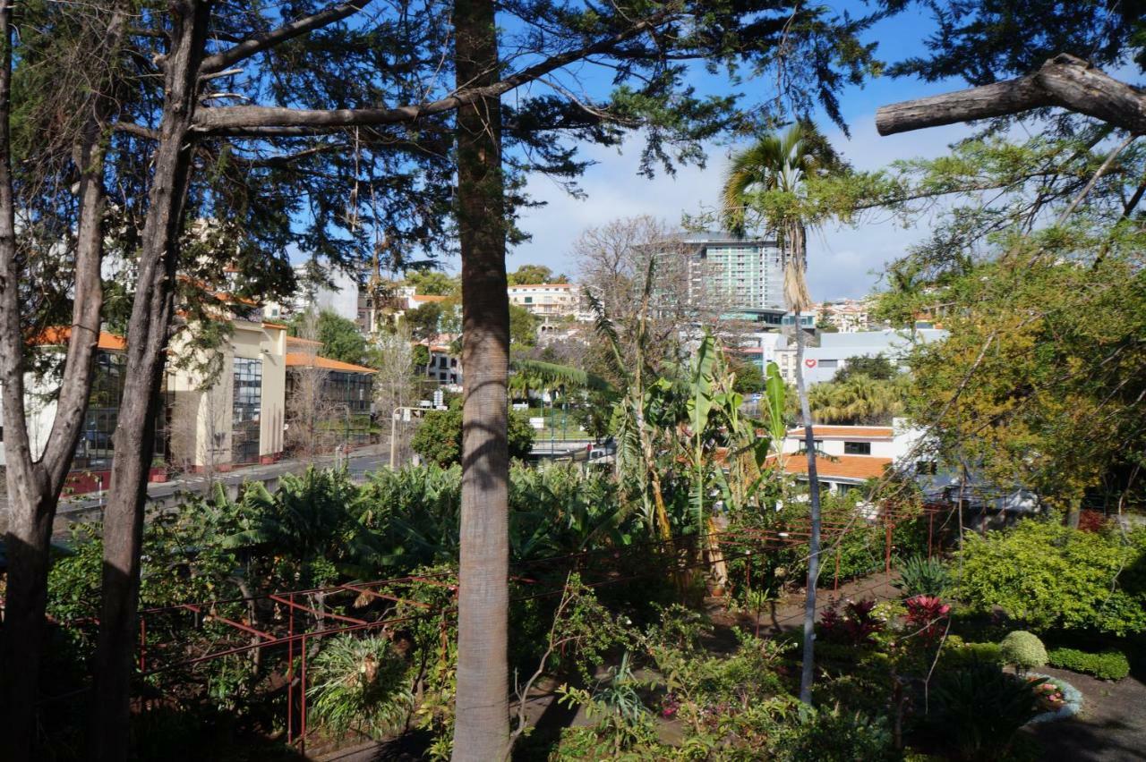 Casa Violeta Villa Funchal  Ngoại thất bức ảnh